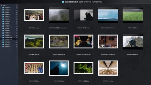 金马奖入围影片设计 从动态图形到影视策划的蜕变